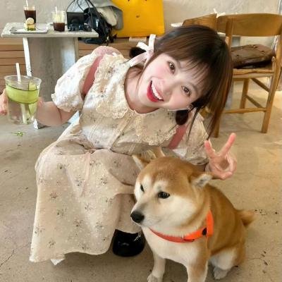 汪汪队立大功第三季